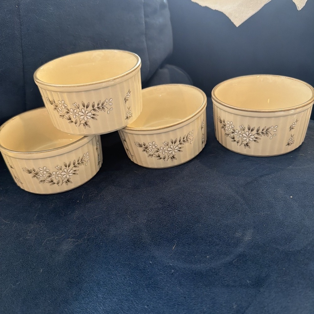Set of 4‎ Newcor Stoneware Ramekin Bowls Made In Japan